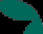 background star image